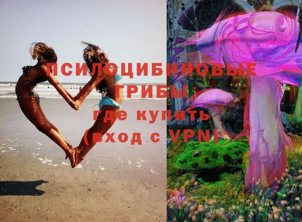 PSILOCYBIN Россошь