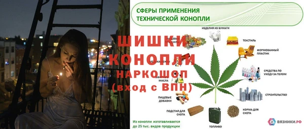 PSILOCYBIN Россошь