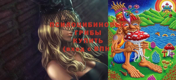 ECSTASY Губаха