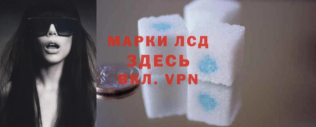ECSTASY Ростов