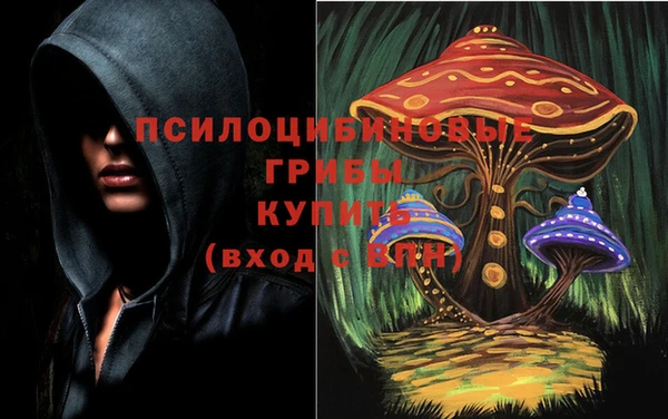 PSILOCYBIN Россошь