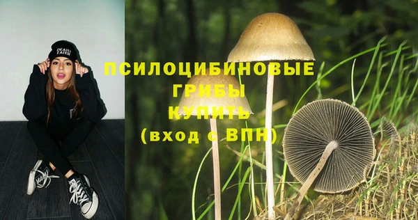 ECSTASY Ростов