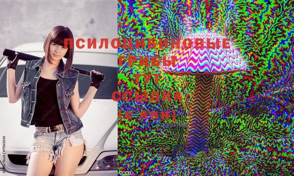 ECSTASY Ростов